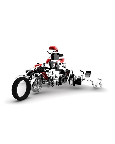 Pièces Détachées Commandes Moto RG RACING Pièce détachée - Rotule de pédale de frein R&G RACING pour 448113