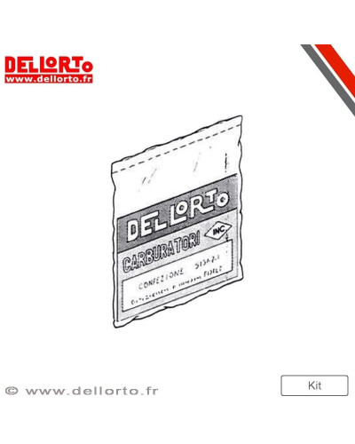 Boitier CDI Moto DELL ORTO Boîtier de commande DELLORTO  ECU ECS Original 45km/h