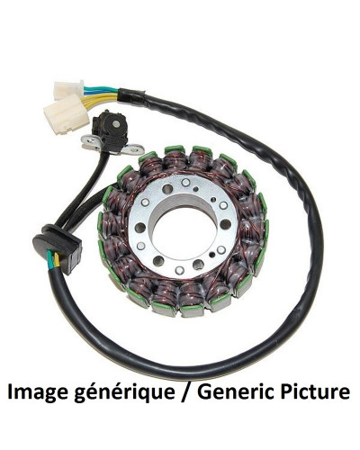 Stator Moto ELECTROSPORT Stator ELECTROSPORT Suzuki GSX650F