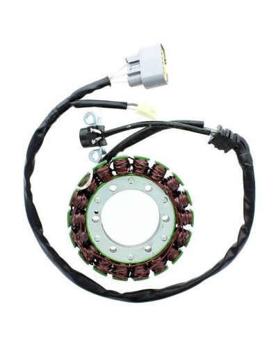 Stator Moto ELECTROSPORT Stator ELECTROSPORT - Yamaha FZ-07