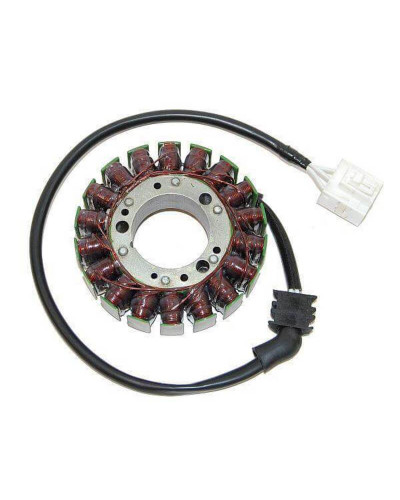 Stator Moto ELECTROSPORT Stator ELECTROSPORT Yamaha FZS1000 Fazer