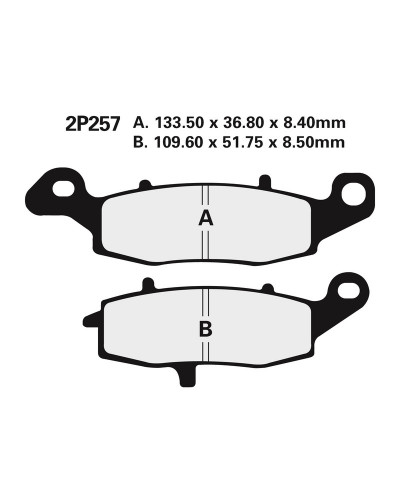 Plaquettes Freins NISSIN Plaquettes de frein NISSIN 2P257NS semi-métallique