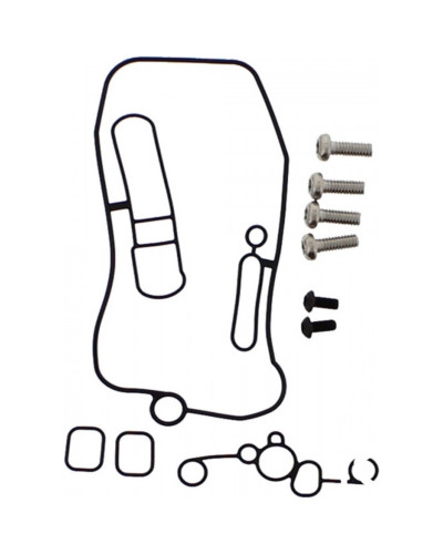 Kit Reconditionnement Carburateur Moto TOURMAX Joint torique FCR Tourmax avec vis Kawasaki KX-F250/450