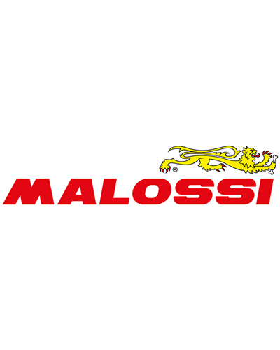 Variateur Complet Moto MALOSSI Système Delta MALOSSI embrayage + cloche Ø107mm